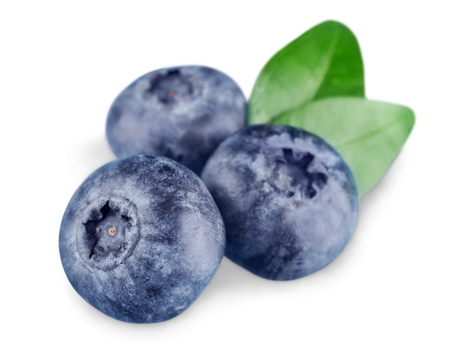 Blueberries Isolated  